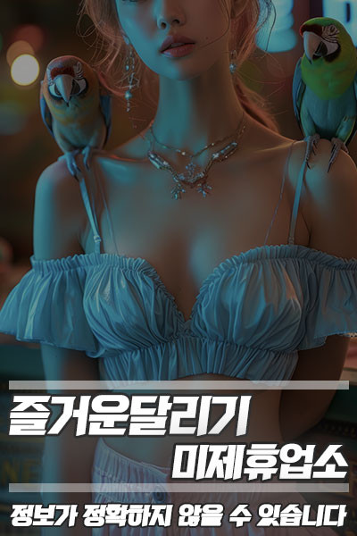 풀옵션